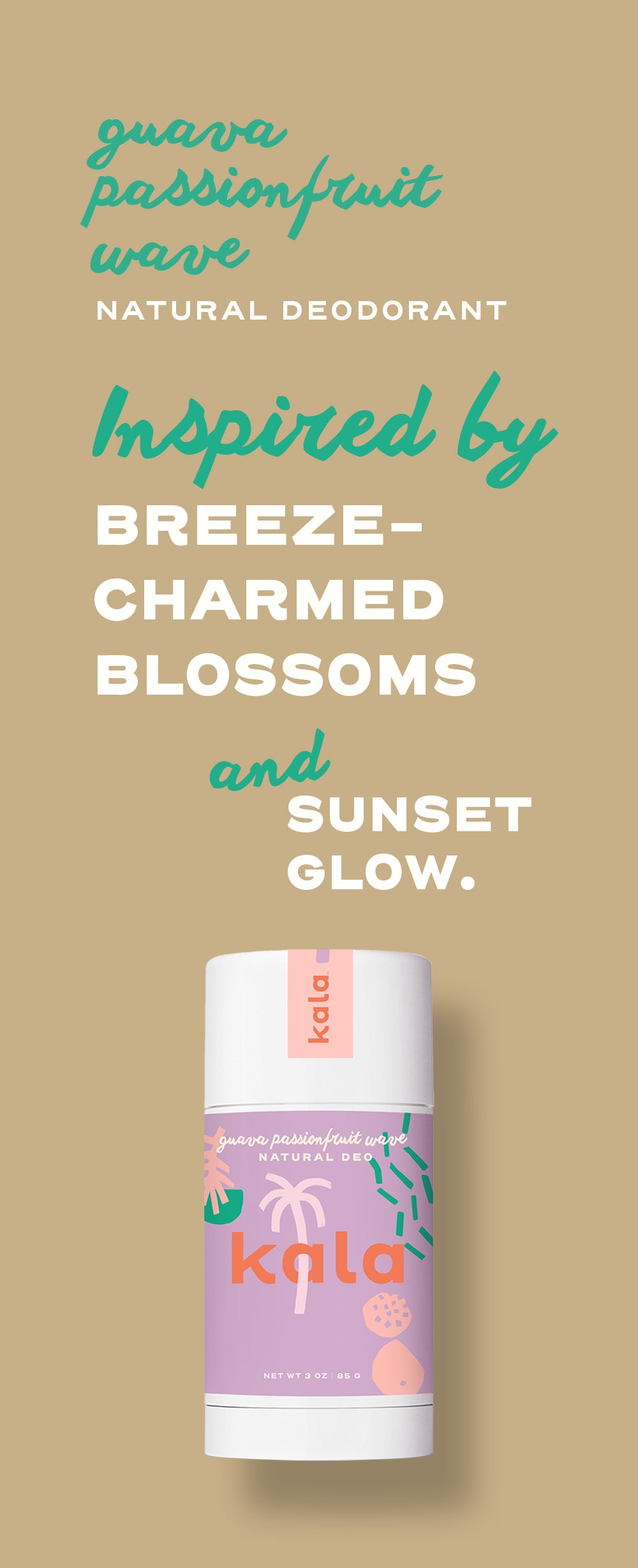 Coconut Oasis